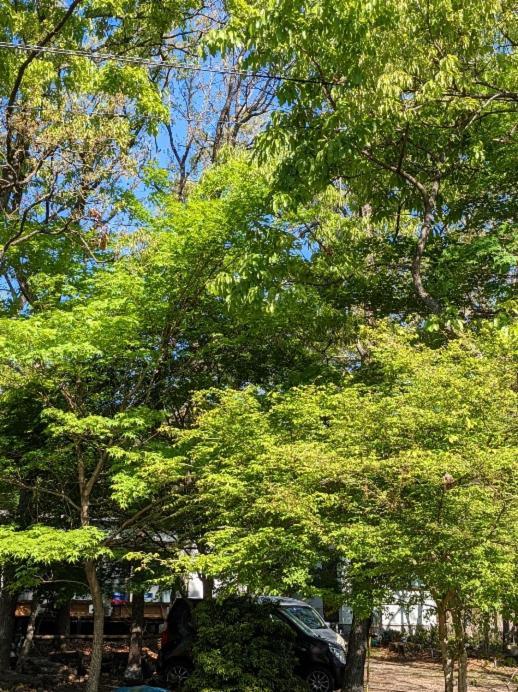 Itsubinosato Pensionat Yufu Exteriör bild